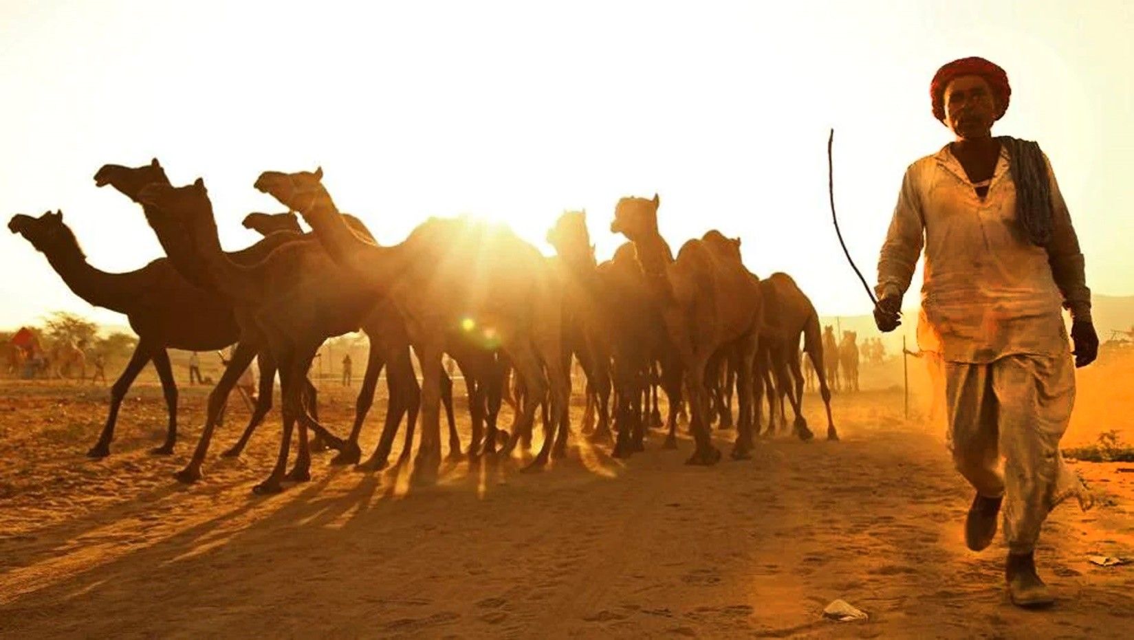 Pushkar Pilgrimage Center & Annual Camel Fair